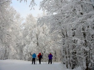 Лыжные прогулки на территории курорта (Карелия)
