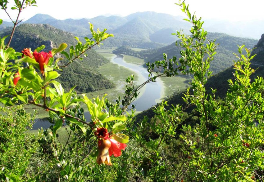Фото достопримечательностей Черногории: Вид на Скадарское озеро с одного из холмов
