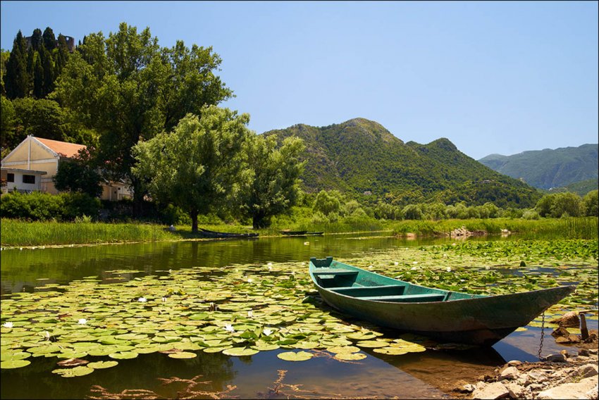Фото достопримечательностей Черногории: Заболоченная часть Скадарского озера у города Вирпазар