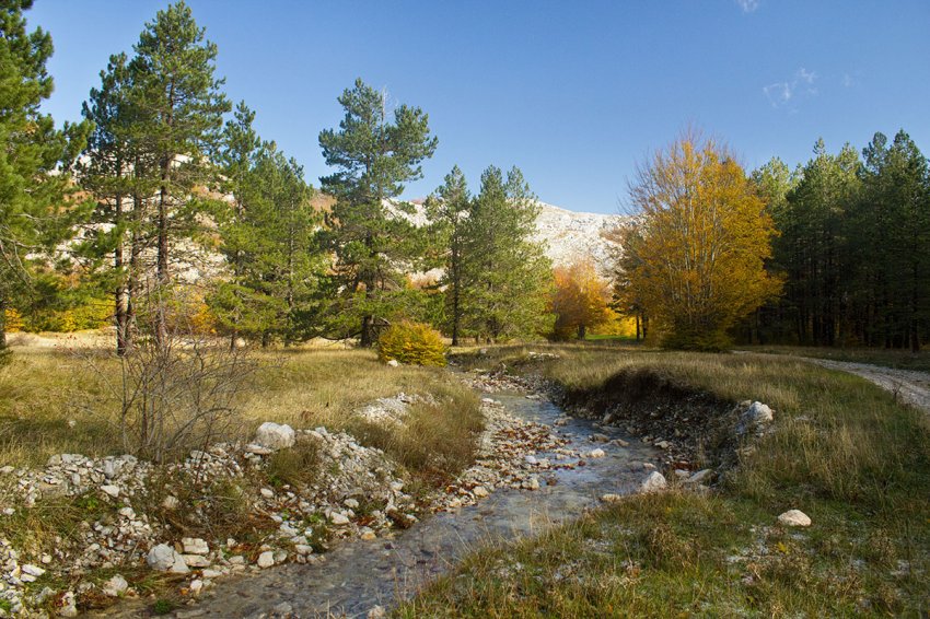 Фото достопримечательностей Черногории: Национальный парк Ловчен