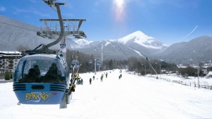 Отличный выбор для начинающих лыжников - Болгария! (Разное)