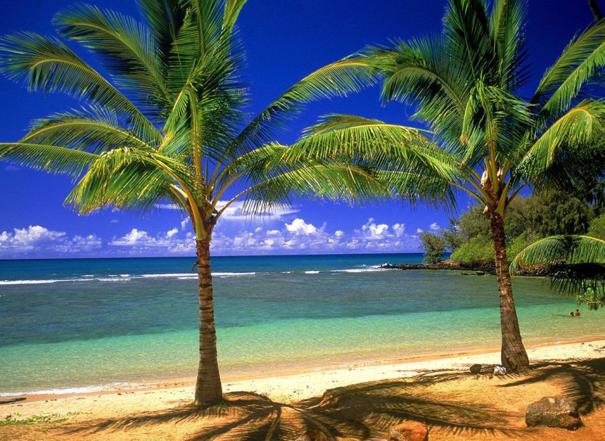 Фото достопримечательностей других стран Европы: Роскошные пляжи Гавайских островов