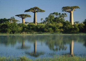 Самый большой остров в мире Мадагаскар (Разное)