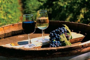 В Закарпатье пройдет фестиваль вина «Троянда Карпат»