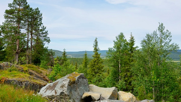Национальные парки Финляндии ждут российских туристов