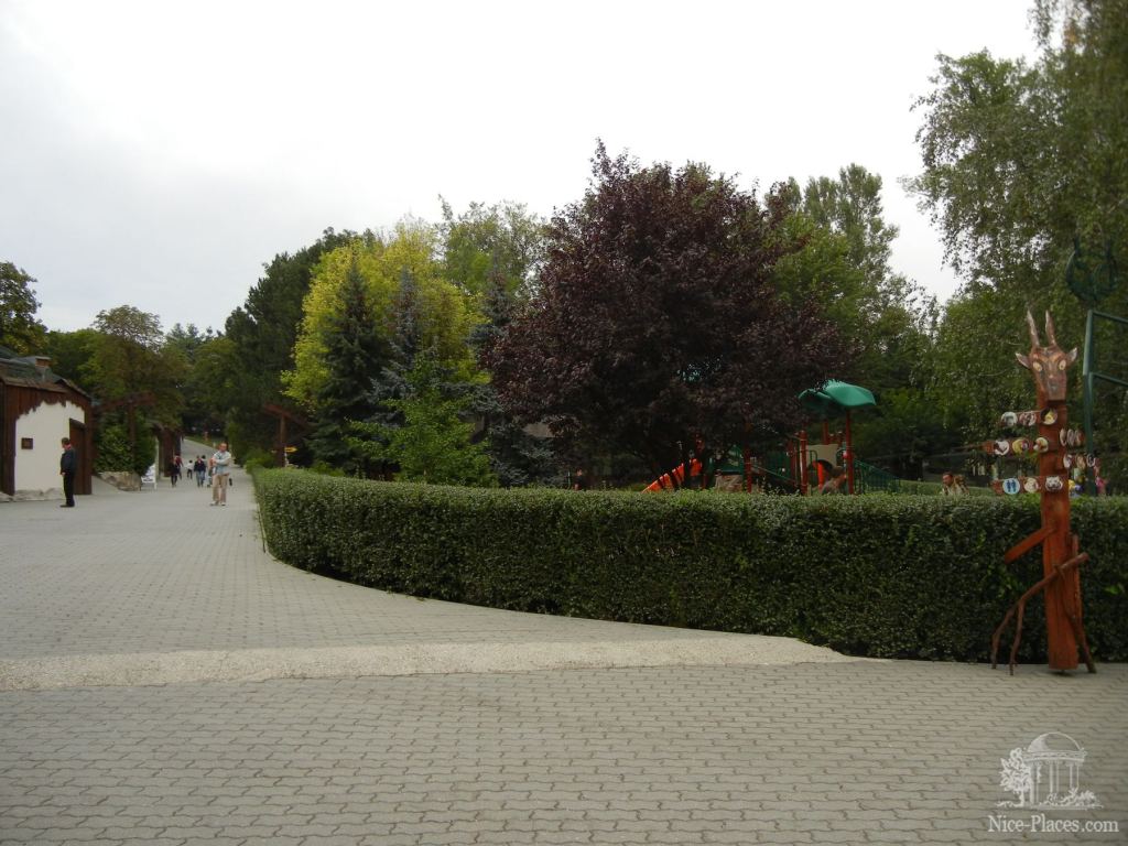 Территория недалеко от входа, за кустами детская площадка - Братиславский зоопарк - взгляд на таинства природы