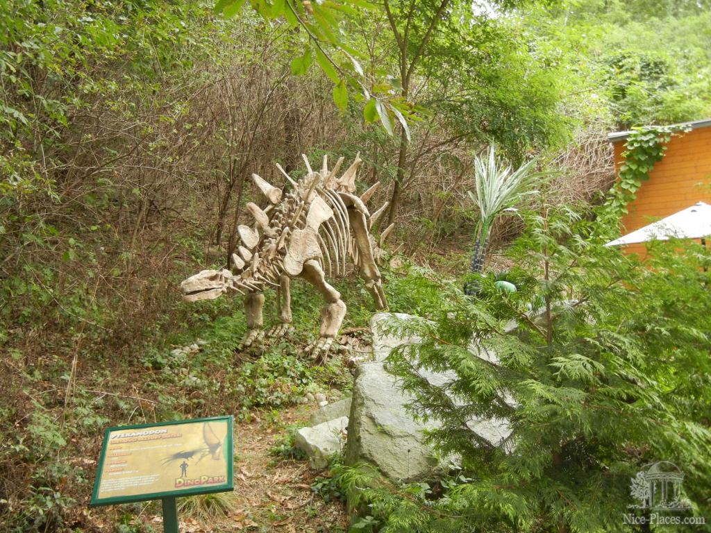 А это скелет, может даже настоящий из раскопок - Братиславский зоопарк - взгляд на таинства природы