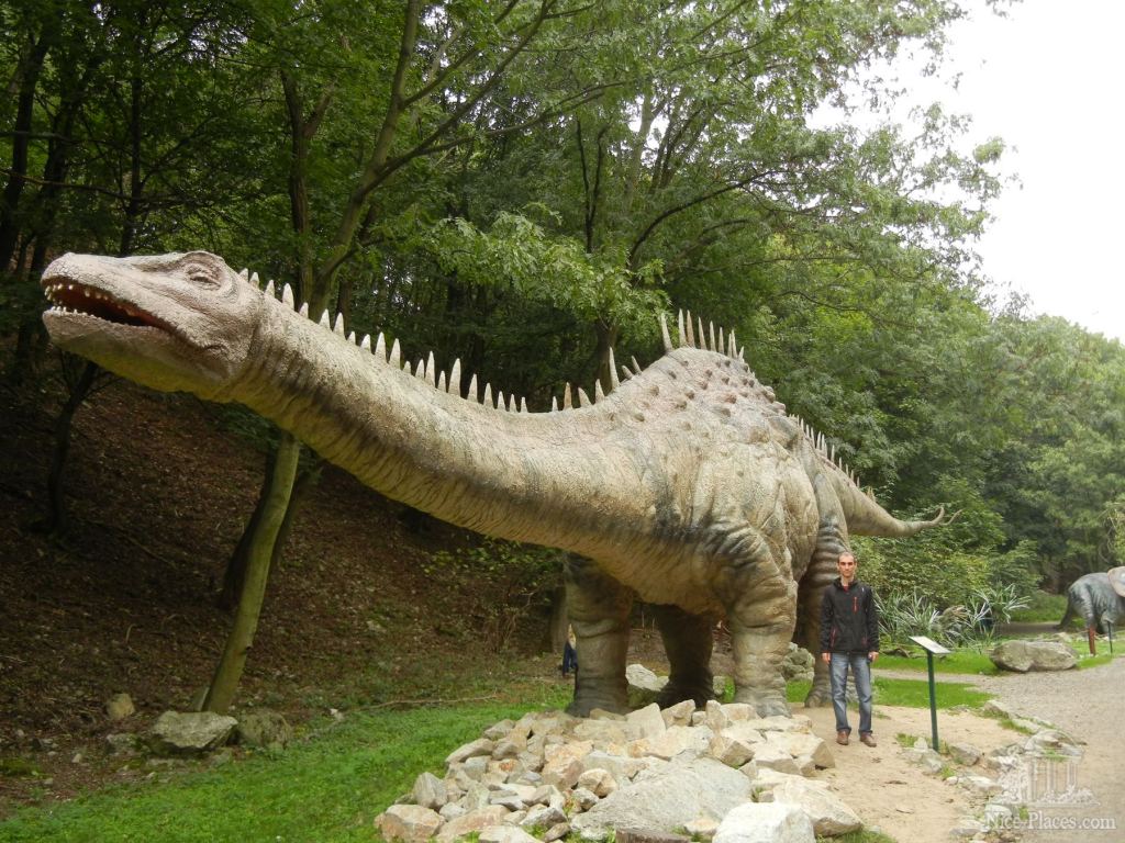 Некоторые экспонаты очень большие, Алексей для сравнения :) - Братиславский зоопарк - взгляд на таинства природы