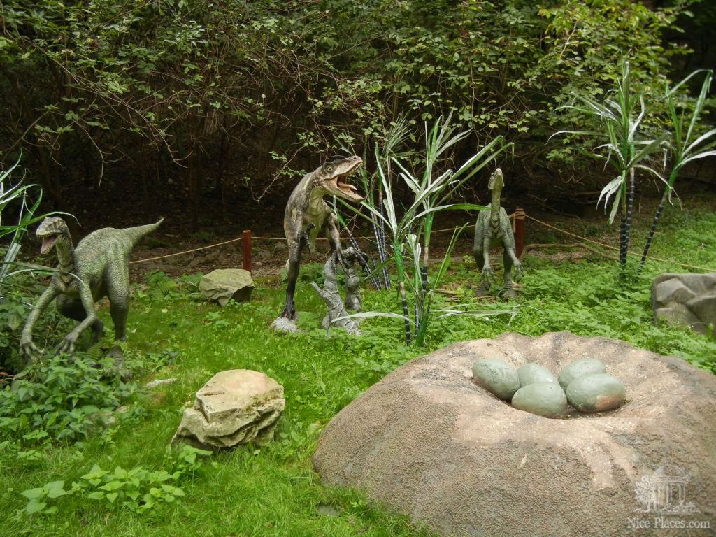 Здесь даже пример кладки динозавров - Братиславский зоопарк - взгляд на таинства природы
