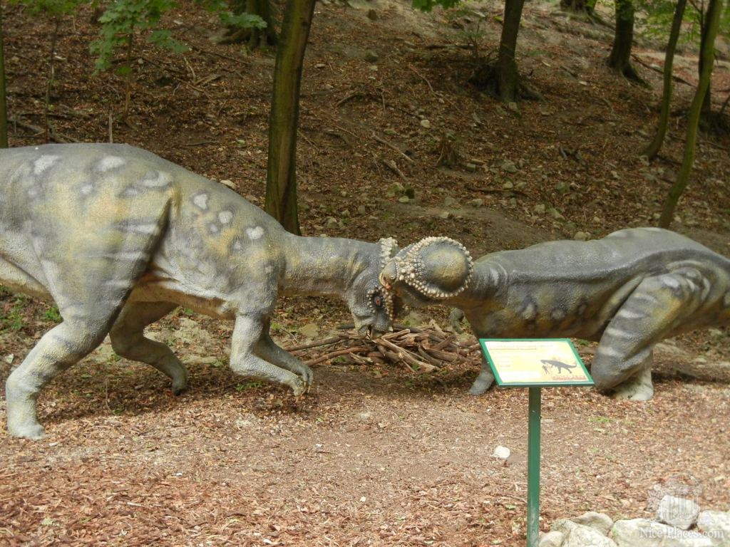 Дерущиеся динозавры - Братиславский зоопарк - взгляд на таинства природы