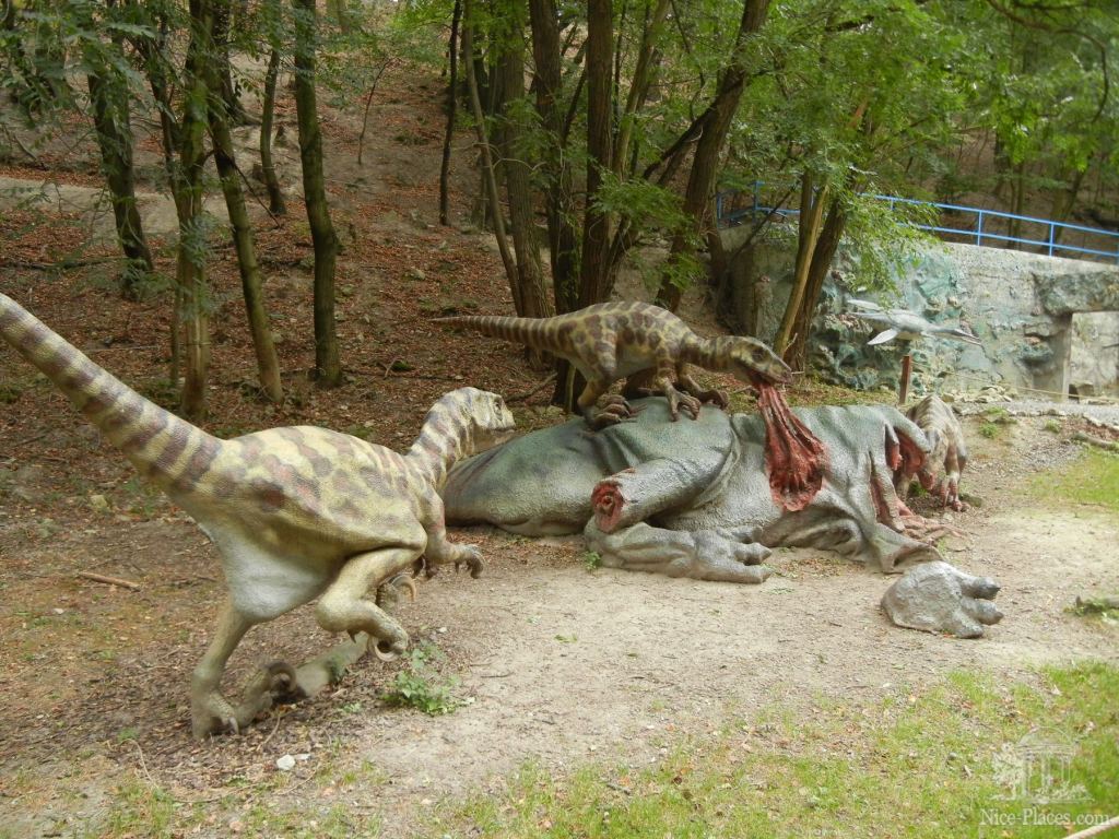 Нападение на жертву, охотились стаей - Братиславский зоопарк - взгляд на таинства природы