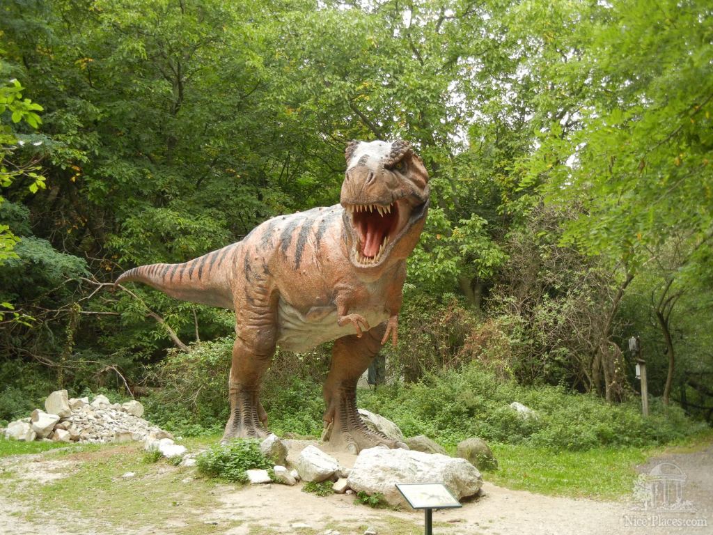 Тиранозавр - самый страшный хищник - Братиславский зоопарк - взгляд на таинства природы