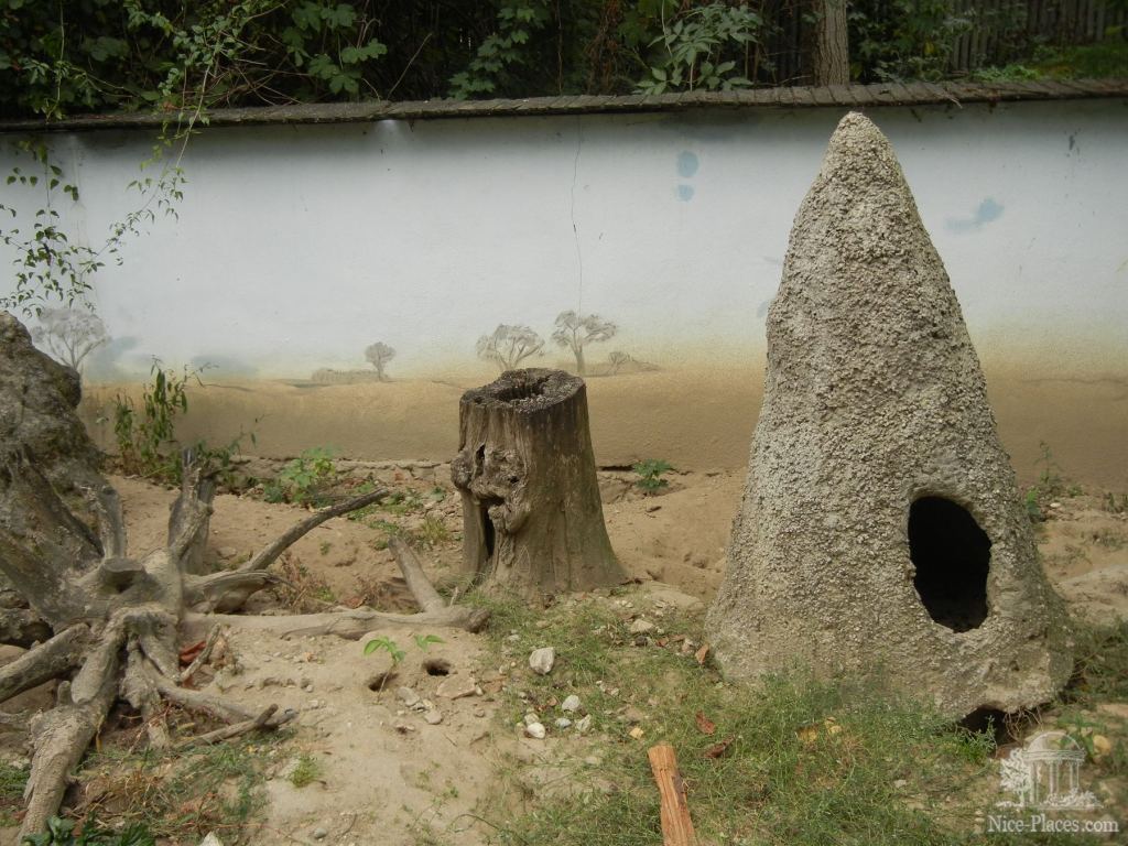 Тут живут сурикаты, но мы их не увидели - Братиславский зоопарк - взгляд на таинства природы