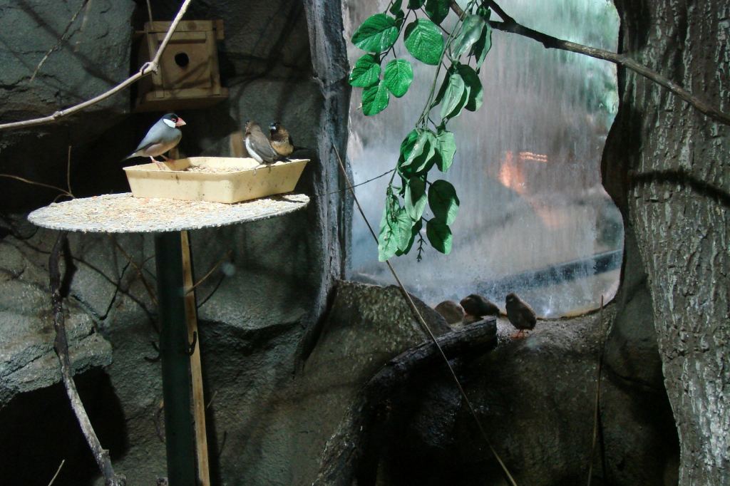 Фото 13 - Киевский зоопарк