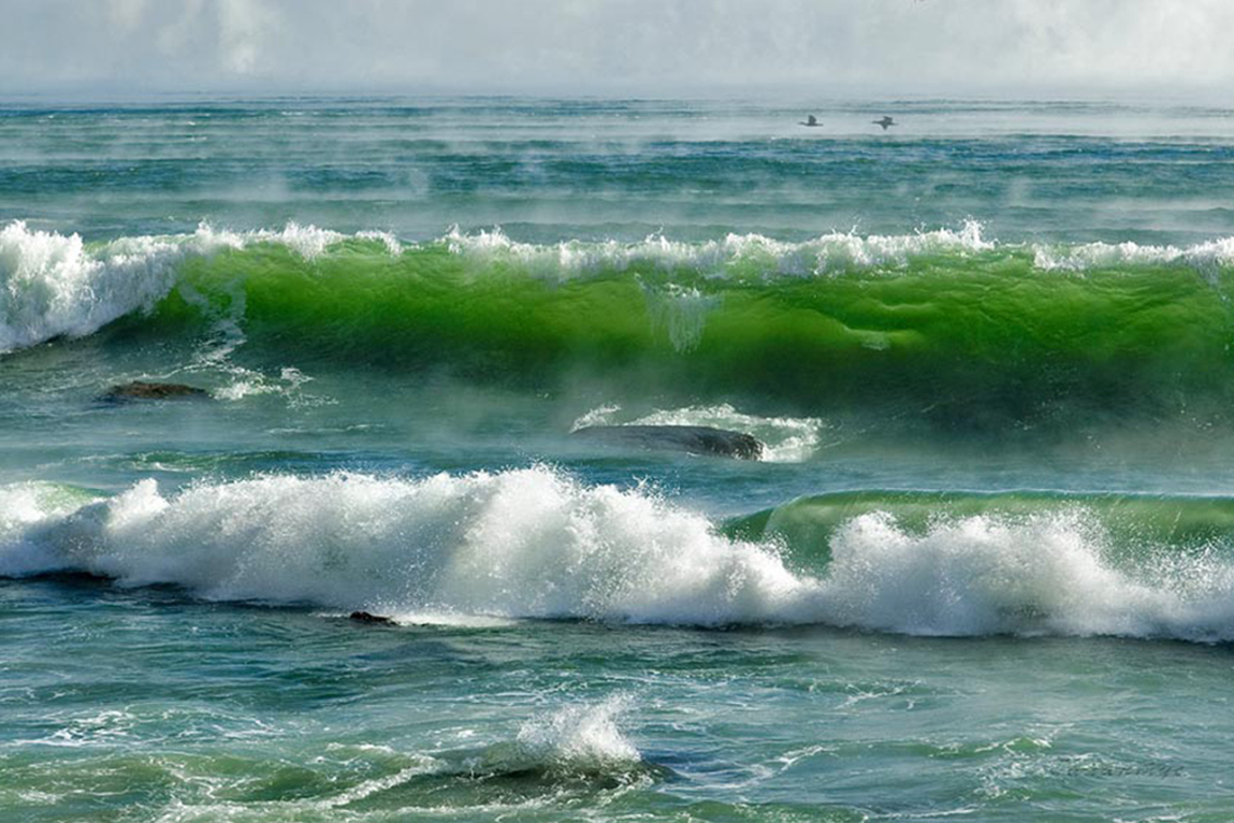 Морской прибой это. Море, волны. Прозрачная волна. Прибрежные волны. Морской Прибой.