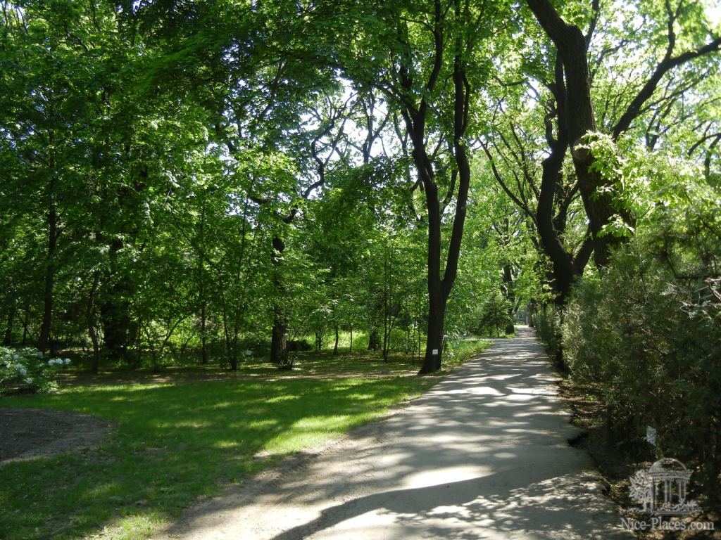Фото 1 - Одесский Ботанический сад весной
