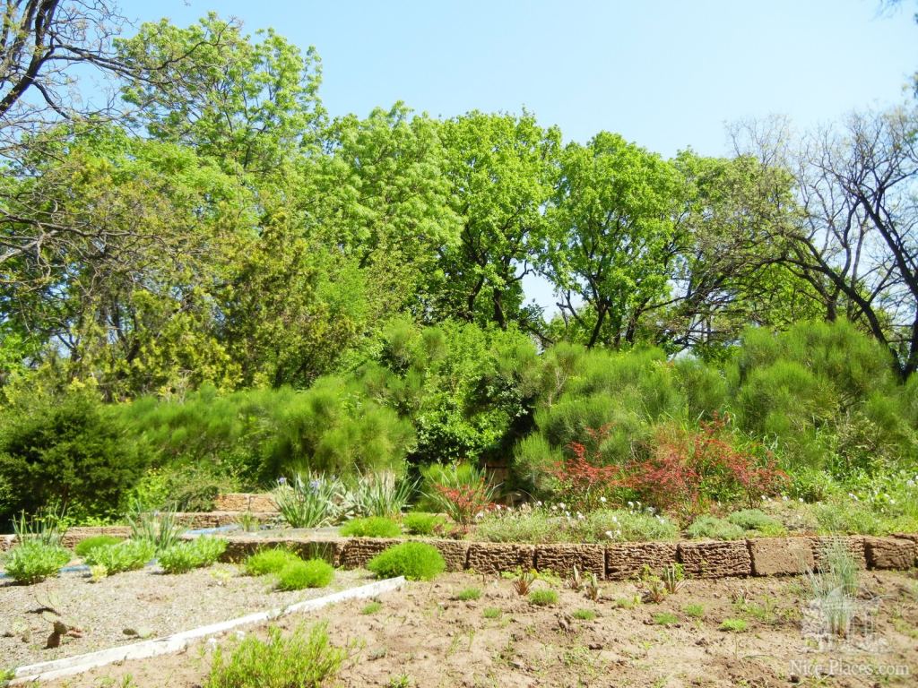 Фото 17 - Одесский Ботанический сад весной