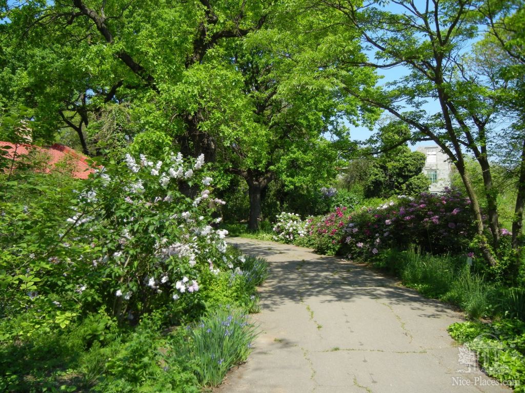 Фото 38 - Одесский Ботанический сад весной