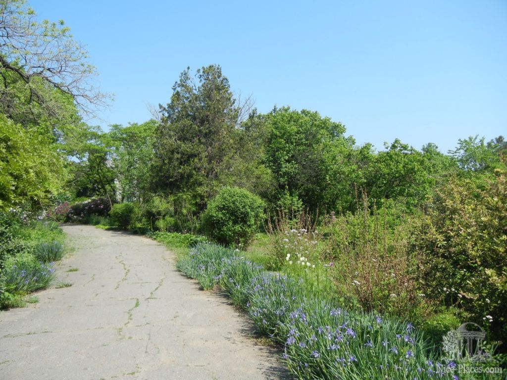 Фото 41 - Одесский Ботанический сад весной