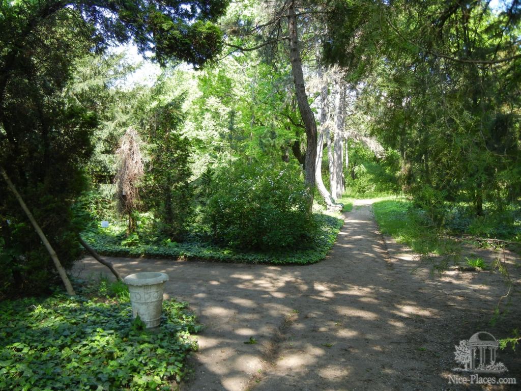 Фото 51 - Одесский Ботанический сад весной