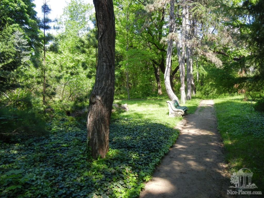 Ковер из плюща - Одесский Ботанический сад весной