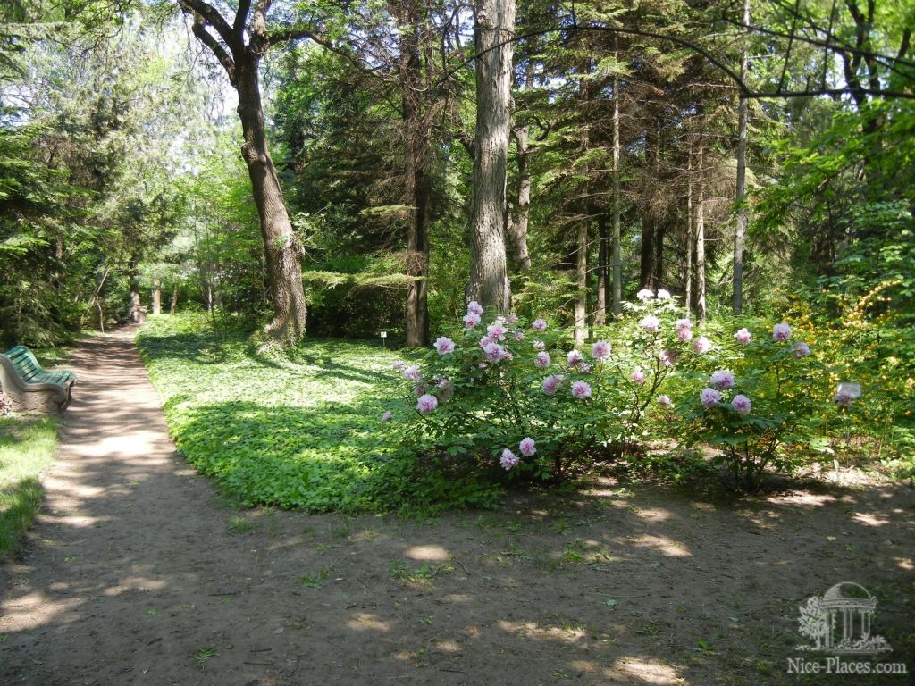 Весенний ботанический сад - Одесский Ботанический сад весной