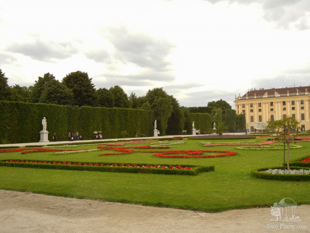 Клумбы, статуи и стена из деревьев - Дворец Шенбрунн в Вене