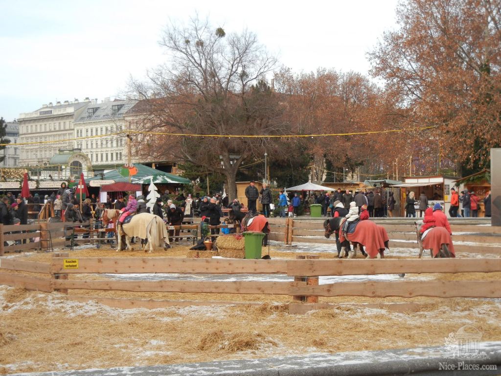 детей катают на лошадках. Ярмарка возле Карлскирхе - Рождество в Вене 2012 - фотоотчет очевидцев