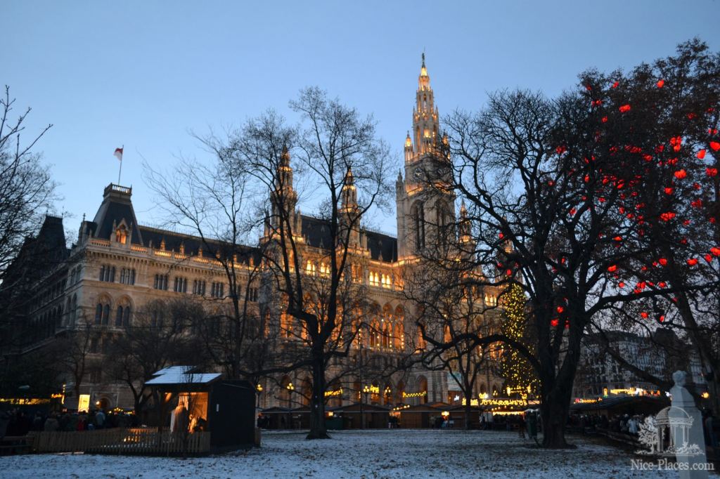 Вид на венскую ратушу - Рождество в Вене 2012 - фотоотчет очевидцев