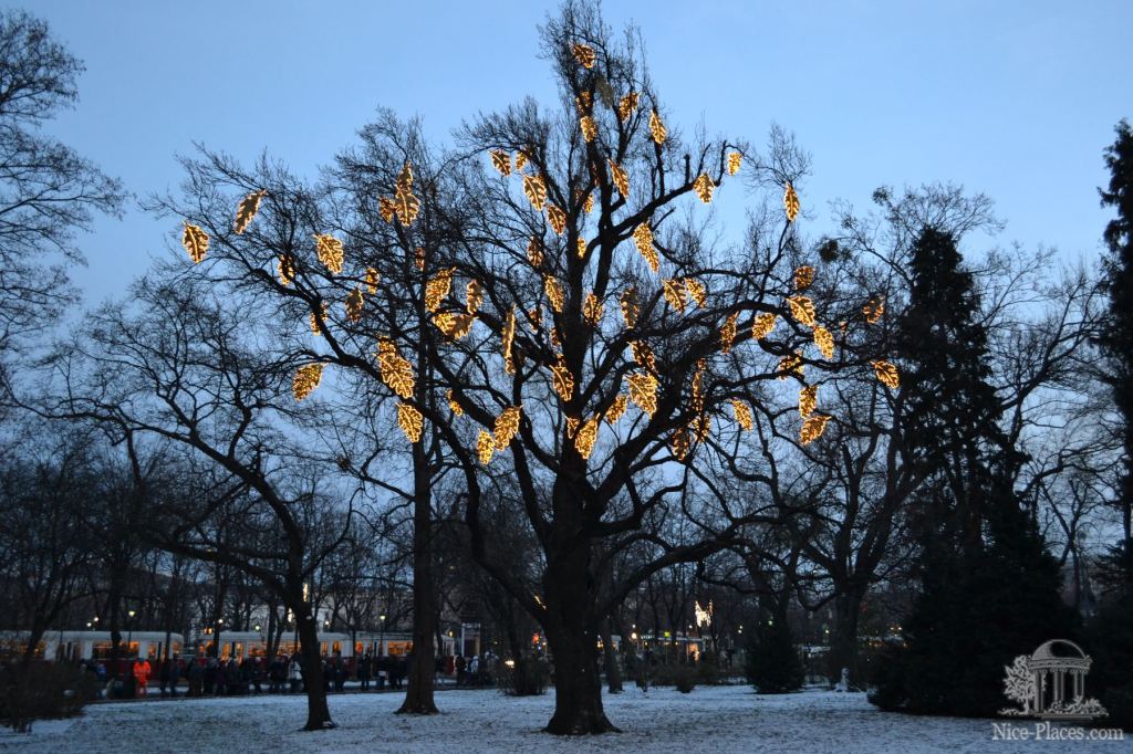 Украшенные праздничной подсветкой деревья - Рождество в Вене 2012 - фотоотчет очевидцев