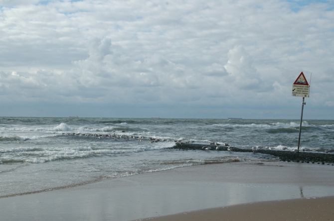 Голландские чайки - Однажды на северном море. Гаага