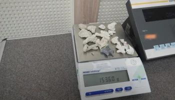 Туриста с вьетнамскими кораллами задержали в аэропорту Барнаула