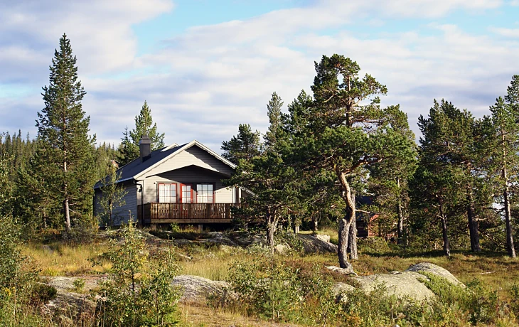 В Петербурге хотят легализовать аренду домов для туристов