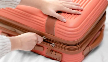 Депутаты продолжают продвигать единый размер ручной клади в самолете