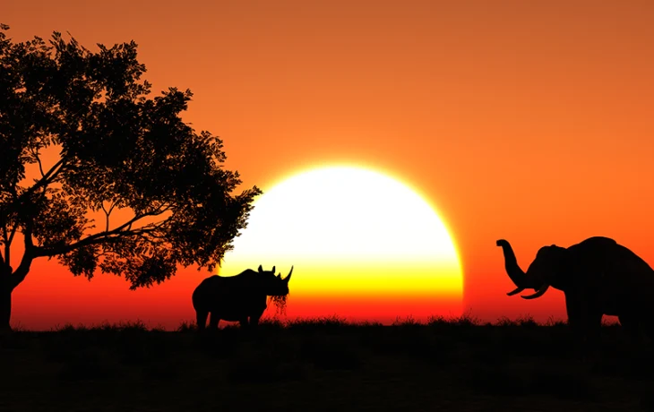 Пугающая Африка: что удерживает туристов от поездок на &laquo;черный континент&raquo;