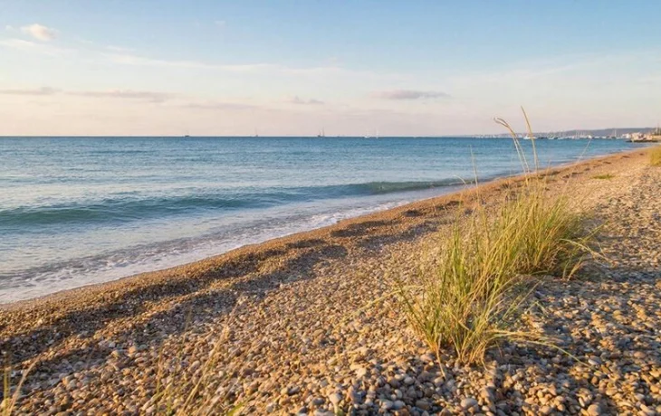 Попова предложила засыпать пляжи Анапы чистым песком в целях безопасности