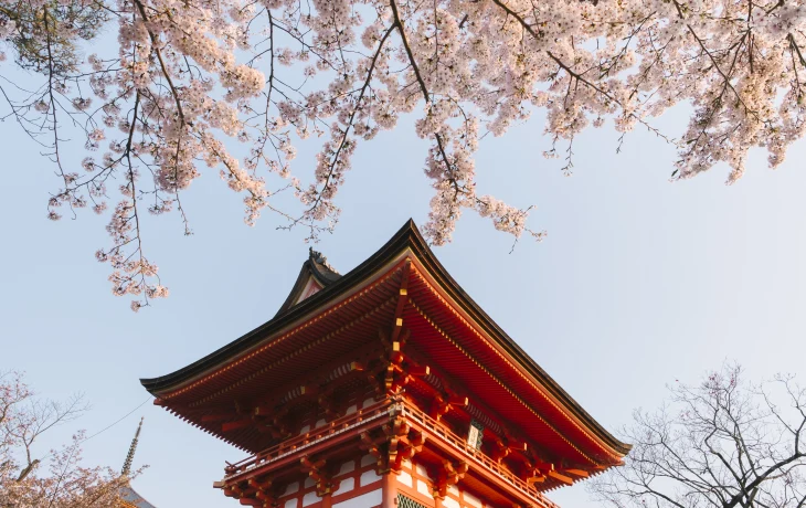 Туристы назвали маршруты, которыми удобнее всего добираться в Японию