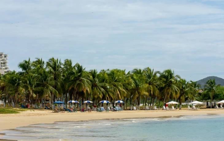 Минтранс допустил восстановление авиасообщения с Венесуэлой Минтранс допустил восстановление авиасообщения с Венесуэлой