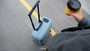Больше сотни туристов вернулись из Египта в Москву без чемоданов