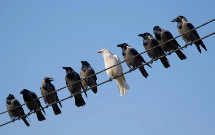 В список крупнейших компаний России по выручке вошел только один туроператор В список крупнейших компаний России по выручке вошел только один туроператор