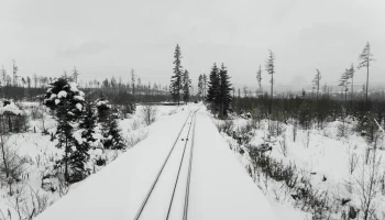 РЖД заморозили цены на билеты в «Сапсаны», которых практически нет