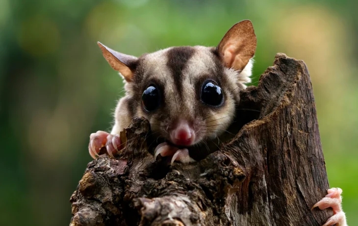 СМИ: российских туристов предупредили о новом виде развода на Пхукете