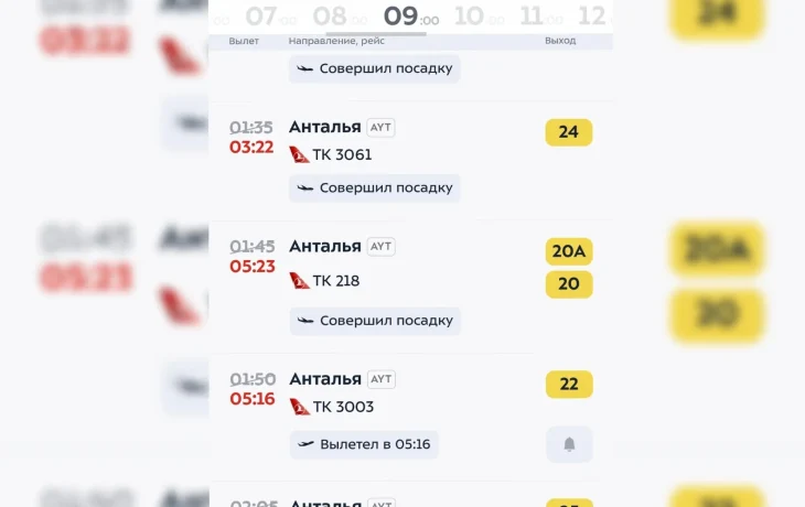 Туристы в ночь на 9 мая улетали в Турцию почти без приключений