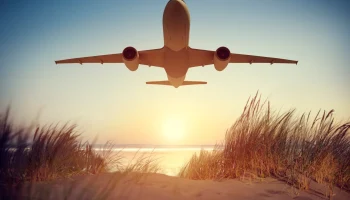 В Общественной палате предложили выдавать многодетным бесплатные авиабилеты на курорты