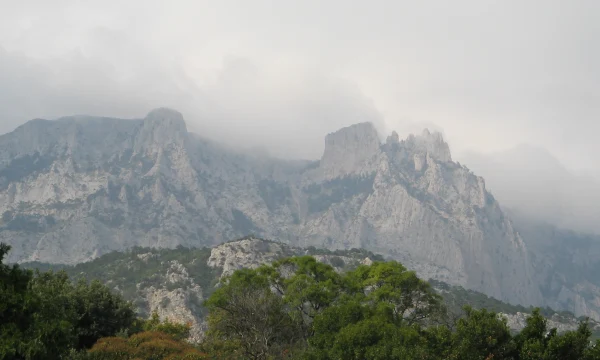 На майские праздники в Ялте раскупили очень дорогие номера