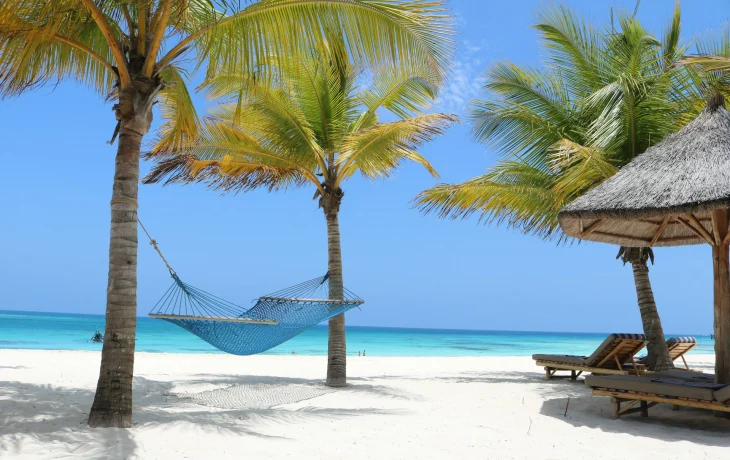 Массовые беспорядки отразились на туристах в Танзании Массовые беспорядки отразились на туристах в Танзании