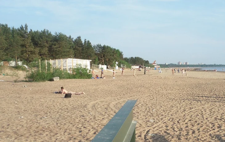 Все пляжи Санкт-Петербурга непригодны для купания: заявление Роспотребнадзора