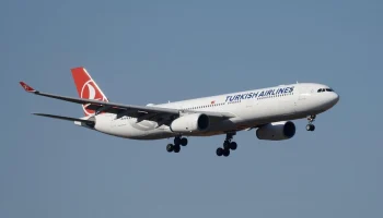 Авиакомпания Turkish Airlines сначала перенесла, а потом отменила рейс в Анталью