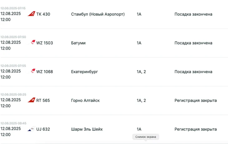 Из-за плана «ковер» туристы не могут улететь в Турцию и Египет Из-за плана «ковер» туристы не могут улететь в Турцию и Египет