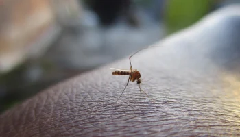 Российских туристов в аэропорту Антальи заставляют пройти платный медосмотр Российских туристов в аэропорту Антальи заставляют пройти платный медосмотр